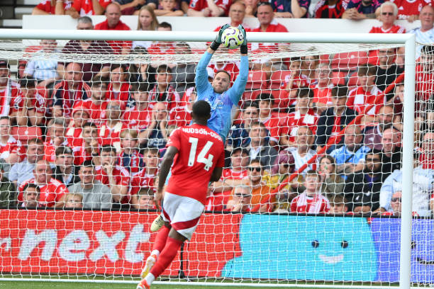 的训练中更 的训练中更