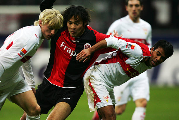 活的应对策 活的应对策